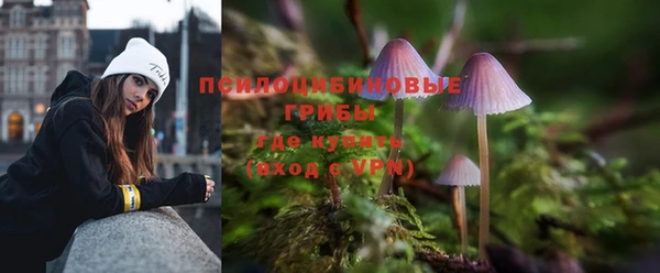 скорость Алексин