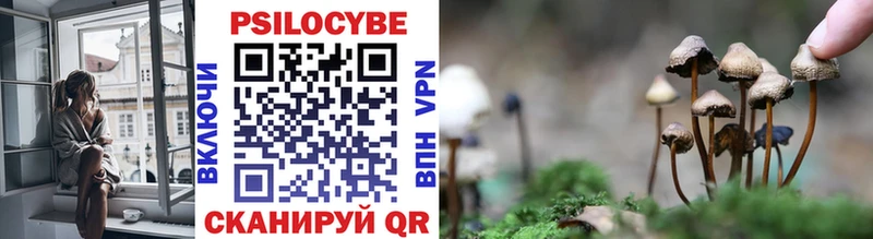 Псилоцибиновые грибы Psilocybe  где продают наркотики  hydra сайт  Краснознаменск 